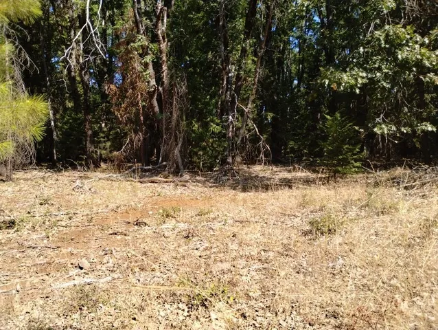 a view of a yard covered in snow