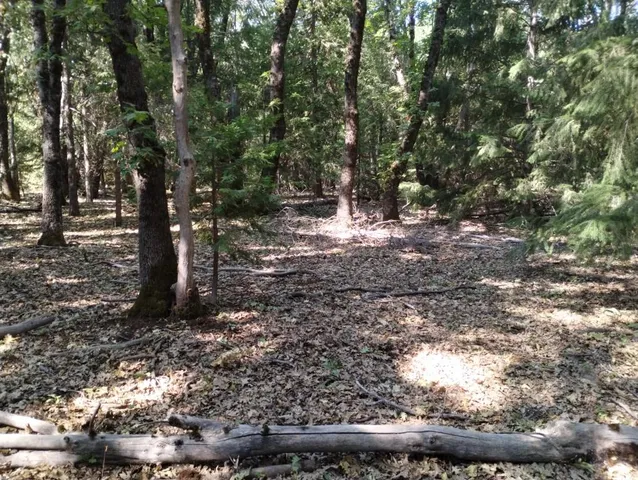 a backyard of a house with barbeque oven