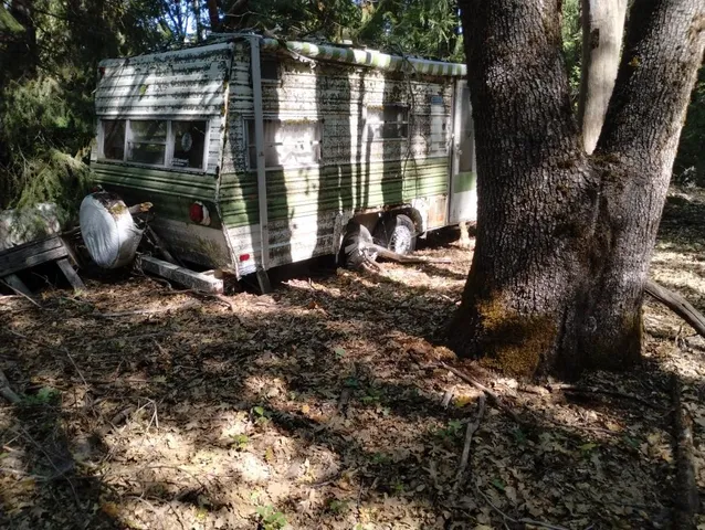 a backyard of a house with lots of trees