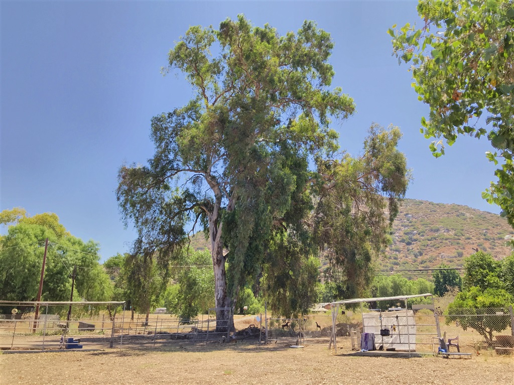 14706 El Monte Road Lakeside, CA 92040 - Photo 10 of 10