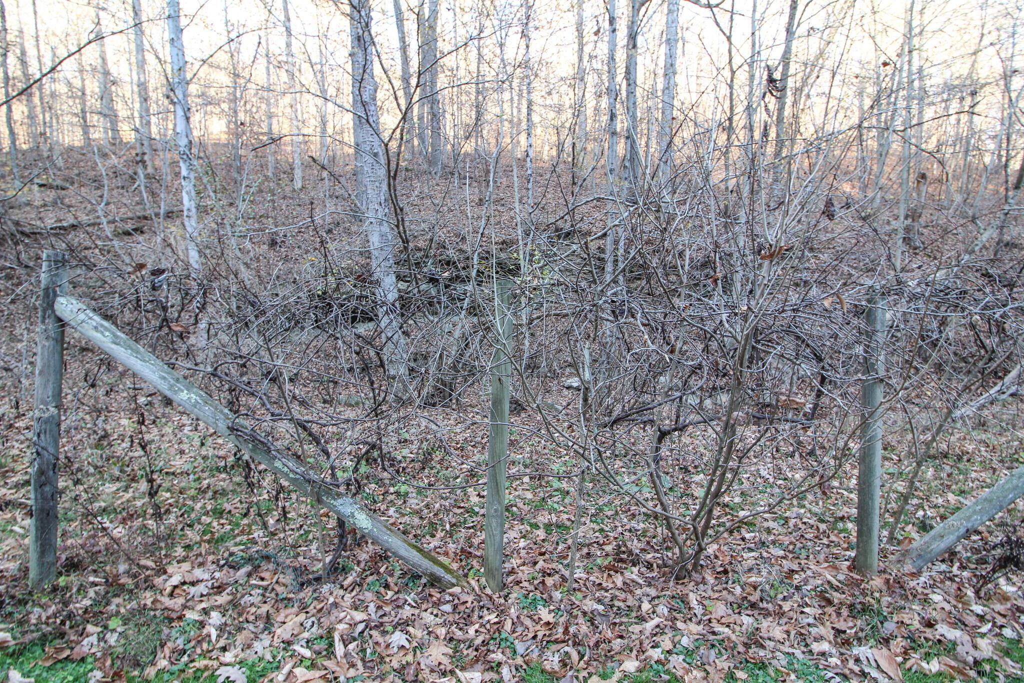 35335 Paw Paw Road, Unit R Lower Salem, OH 45745 - Photo 38 of 43 IMG_5646