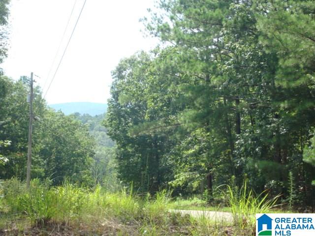 Evans Road Piedmont, AL 36272 - Photo 1 of 8
