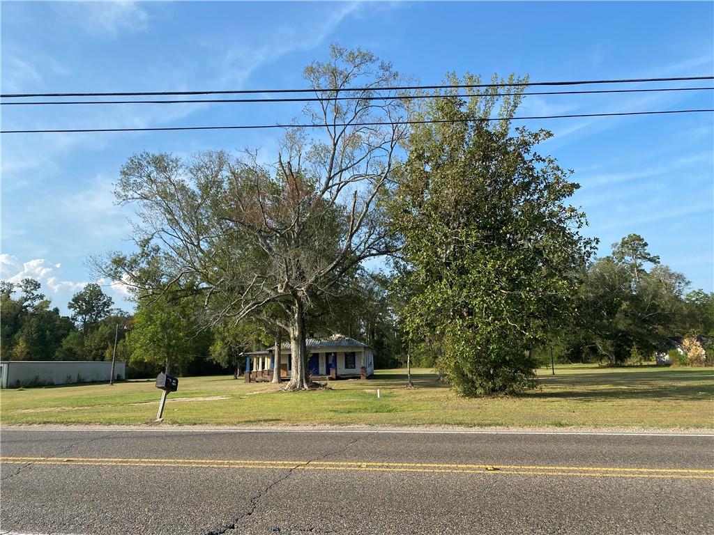 27218 Highway 42 Springfield, LA 70462 - Photo 2 of 5