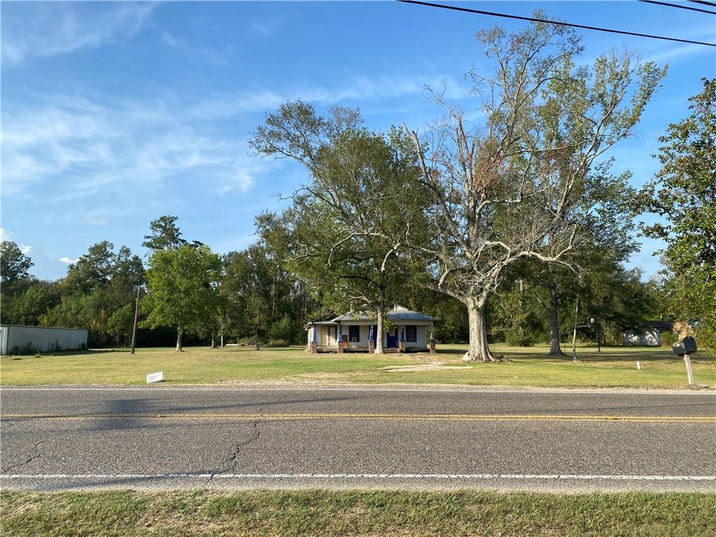 27218 Highway 42 Springfield, LA 70462 - Photo 4 of 5