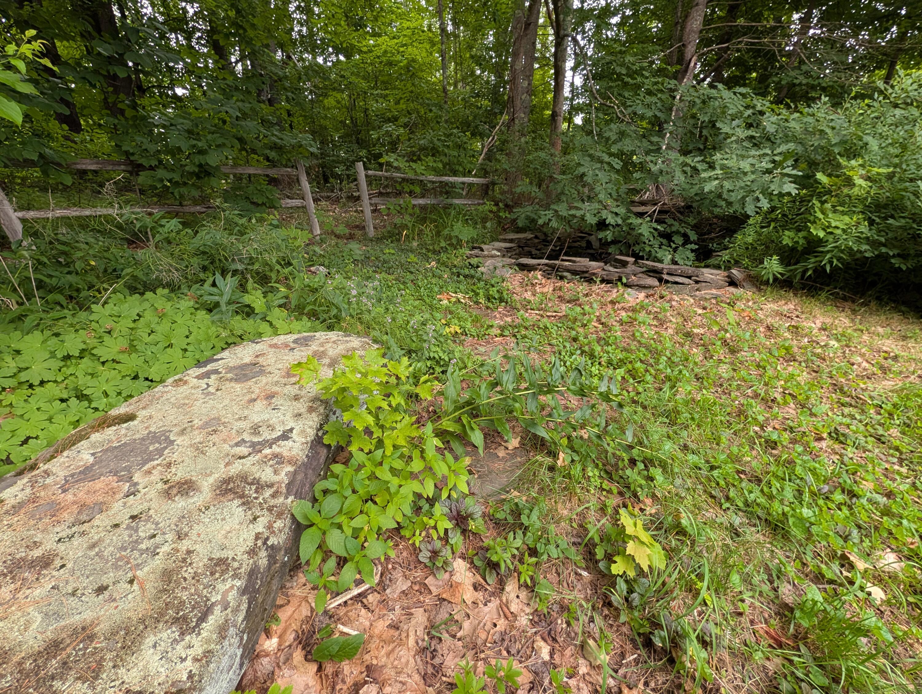 1816 Dexter Road Dover-Foxcroft, ME 04426 - Photo 59 of 72 PXL_20260714_203428244