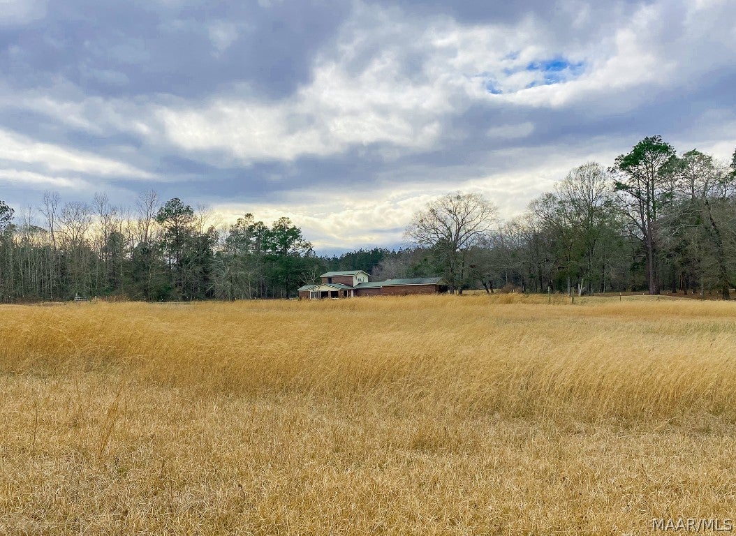 644 Russell Road Samson, AL 36477 - Photo 49 of 51 Gallery Image 49