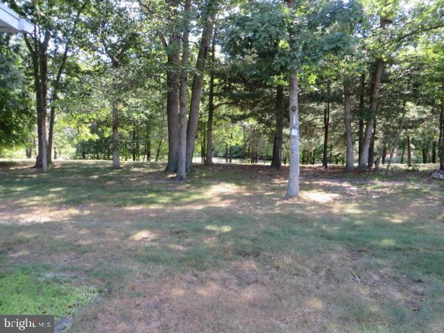 31 Blue Ridge Drive Brick, NJ 08724 - Photo 18 of 23 Gallery Image 18