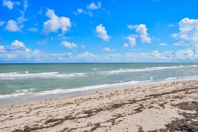 a view of an ocean beach