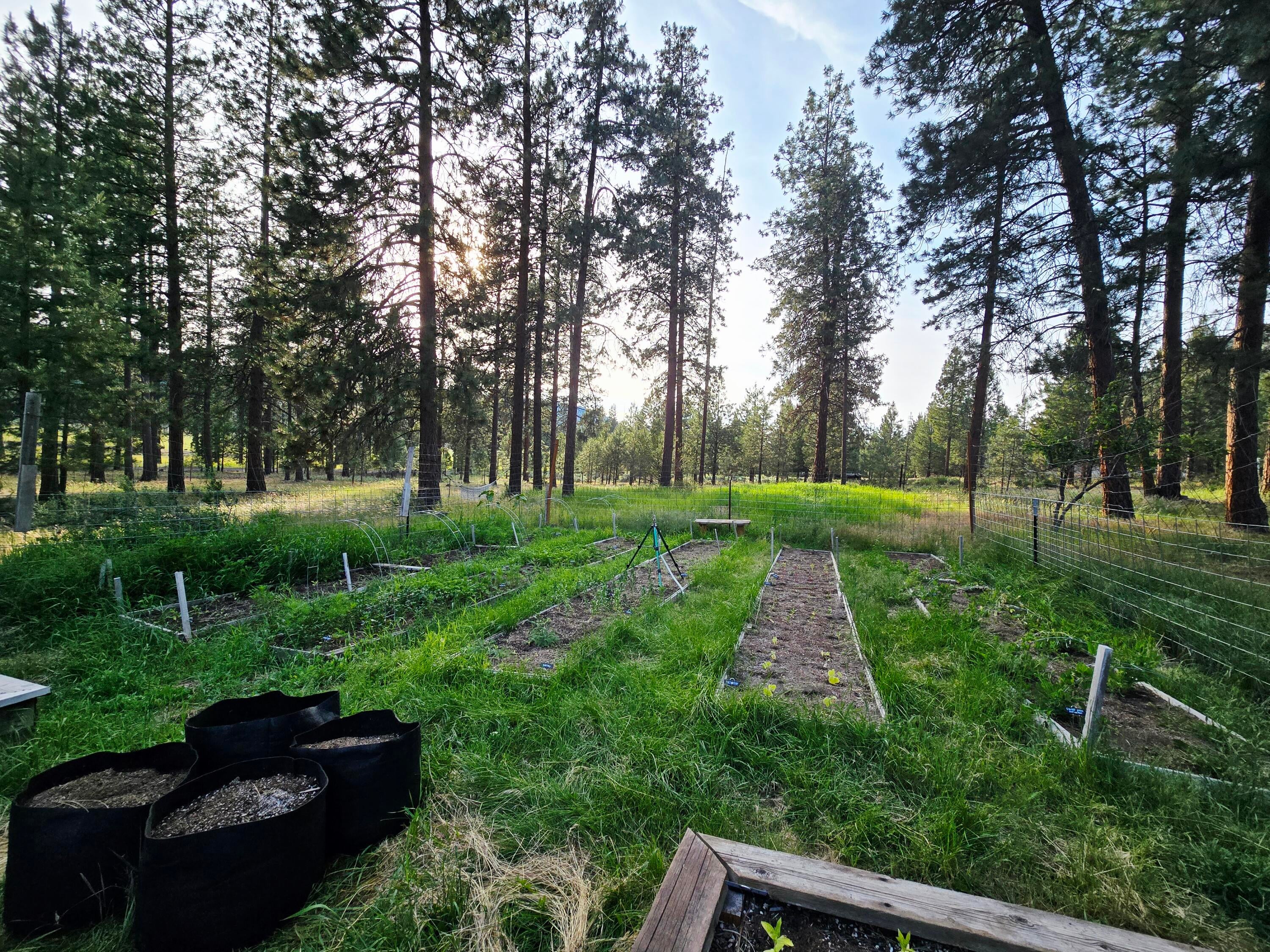 10211 Old Fort Road Klamath Falls, OR 97601 - Photo 70 of 79 Garden