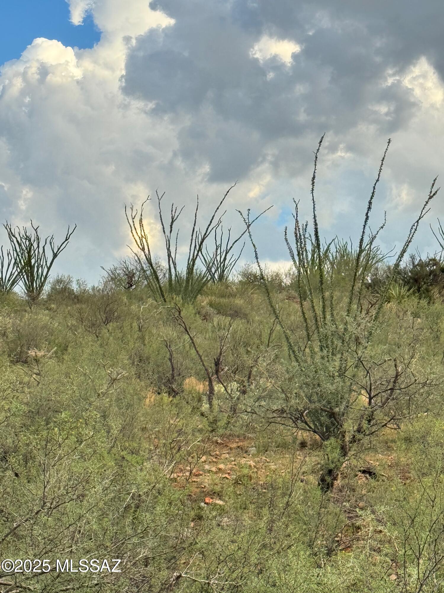 0 Justa Road Vail, AZ 85641 - Photo 27 of 44