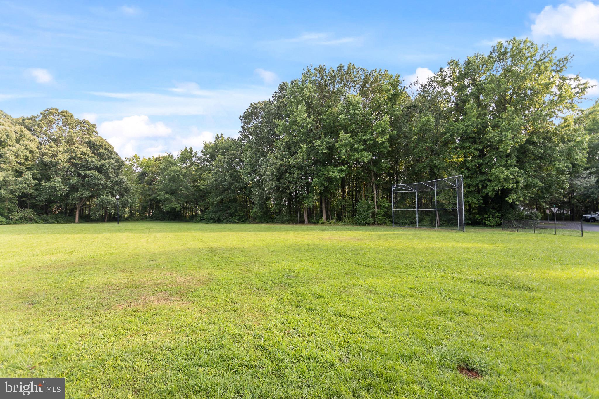 4912 Beech Street Shady Side, MD 20764 - Photo 28 of 42 a view of a yard with a large trees
