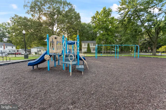 a view of a yard with a large trees