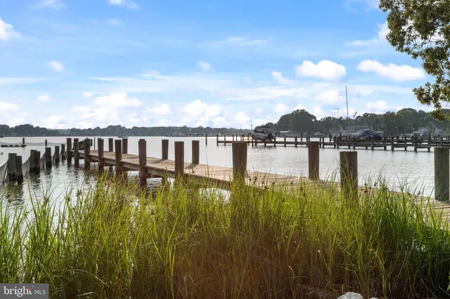 a view of a terrace with chairs