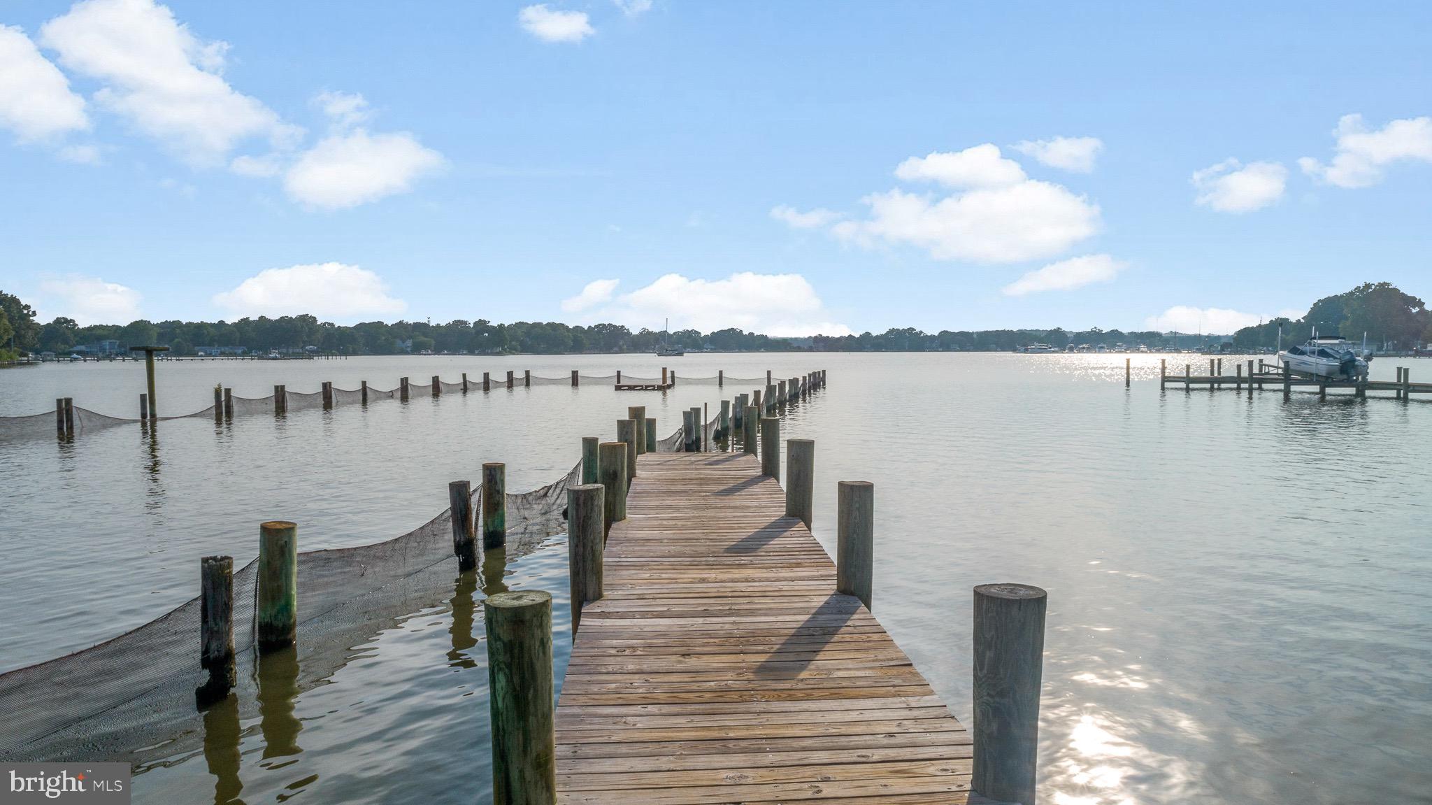 4912 Beech Street Shady Side, MD 20764 - Photo 34 of 42 a close up of a lake