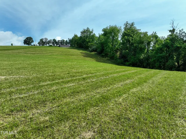 $44,500 | Lot 2 Wayside Meadows Road, Unit 2, Nickelsville, VA 24271
