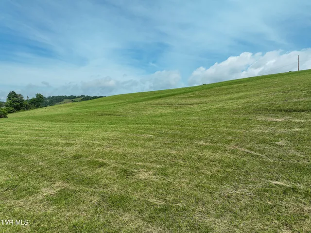 $44,500 | Lot 2 Wayside Meadows Road, Unit 2, Nickelsville, VA 24271