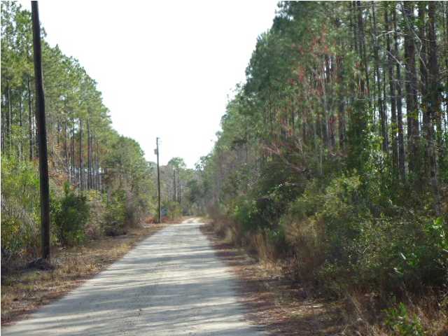 574 Clark's Landing Road Carrabelle, FL 32322 - Photo 3 of 7 Gallery Image 3