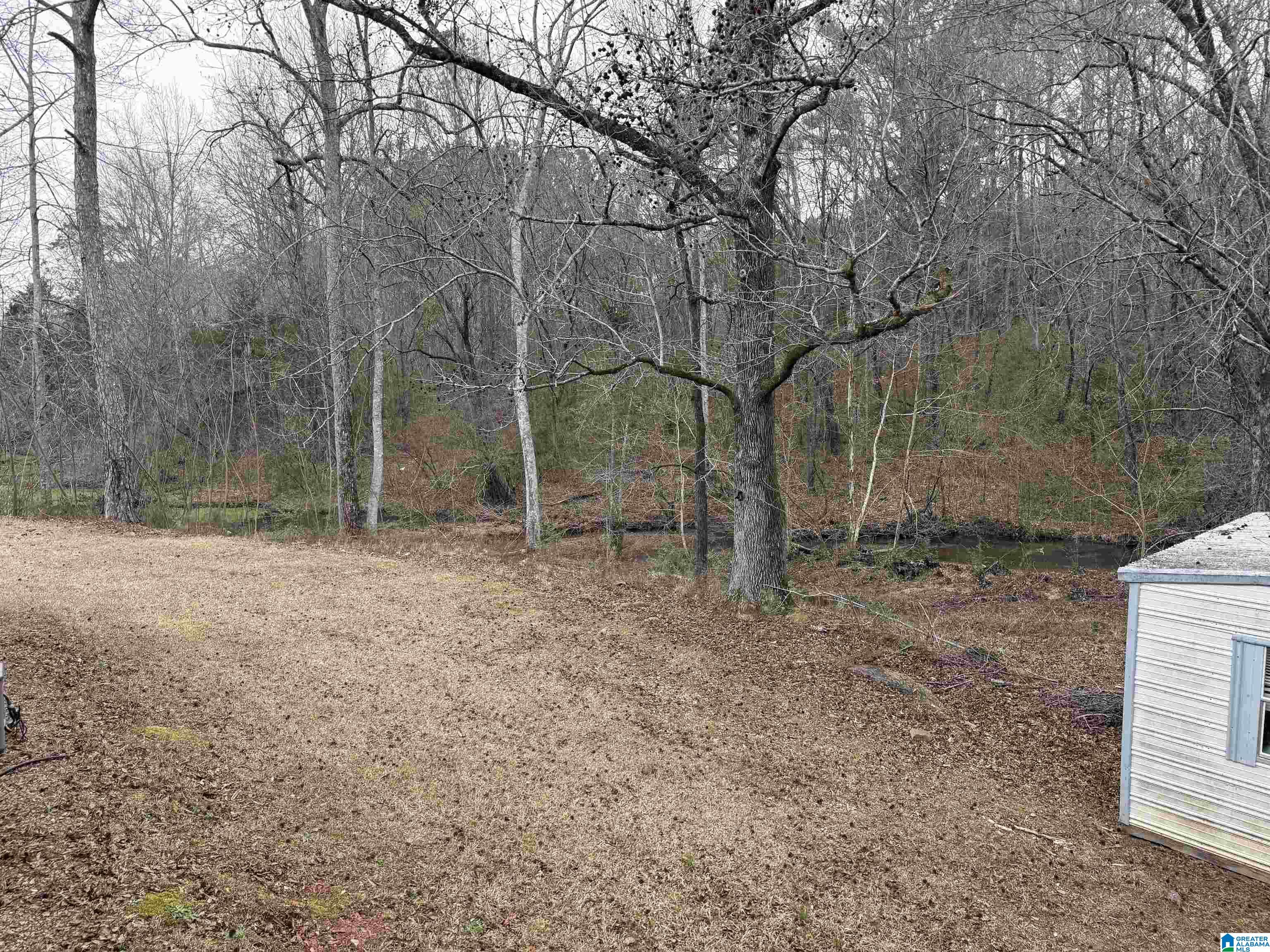 433 Angel Station Road Jacksonville, AL 36265 - Photo 16 of 20