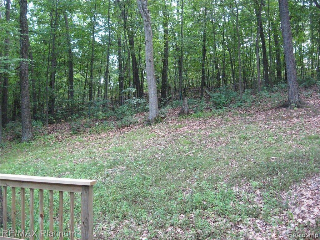 1191 Baker Road Fenton, MI 48430 - Photo 13 of 19 backyard