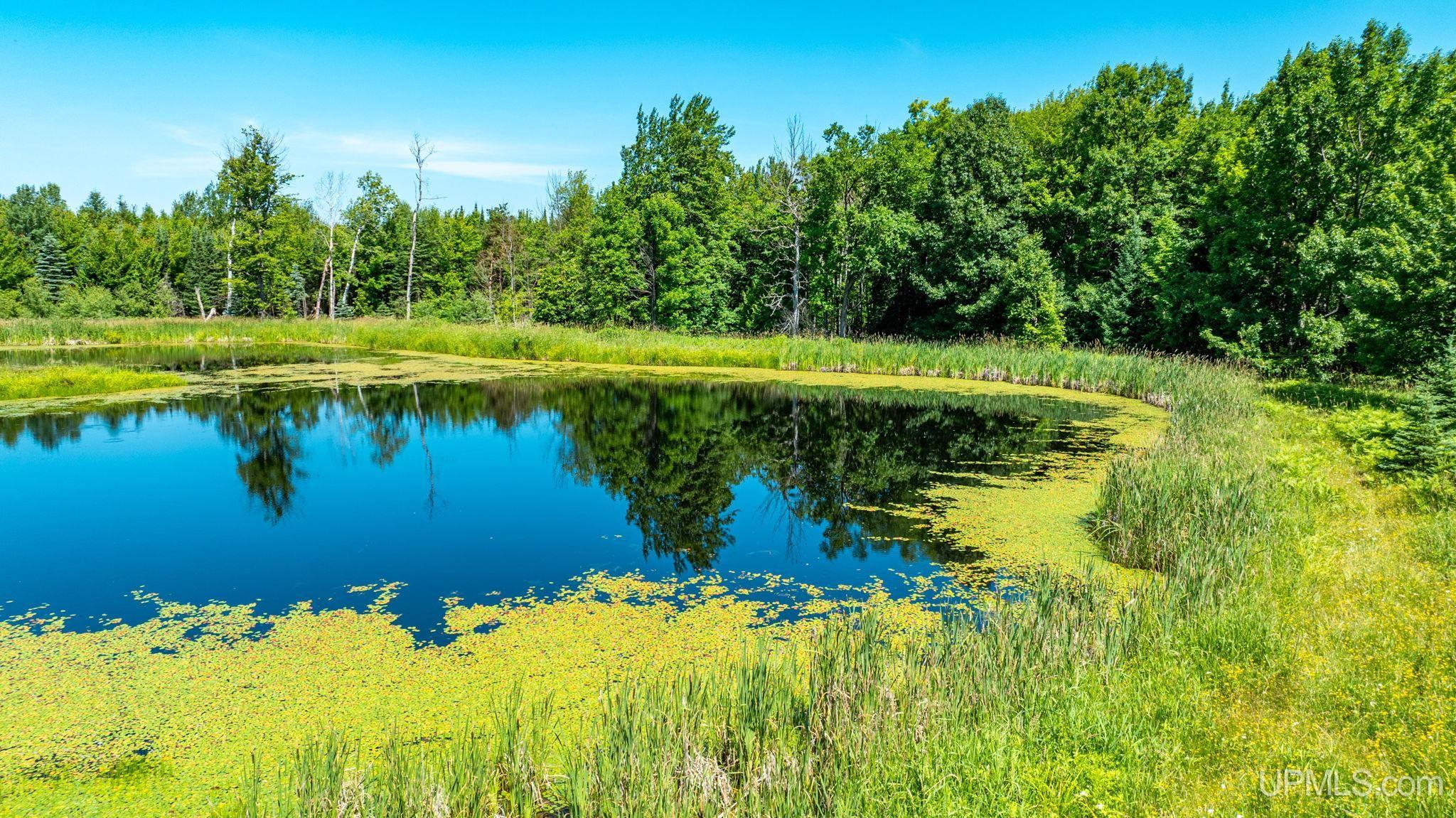 Tbd Tbd Bellaire Road Baraga, MI 49908 - Photo 20 of 49