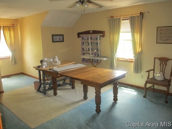 4 Drake Road Jacksonville, IL 62650 - Photo 12 of 21
