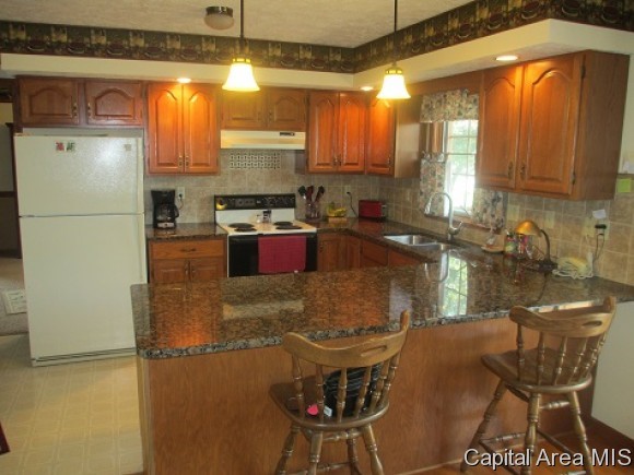 4 Drake Road Jacksonville, IL 62650 - Photo 6 of 21