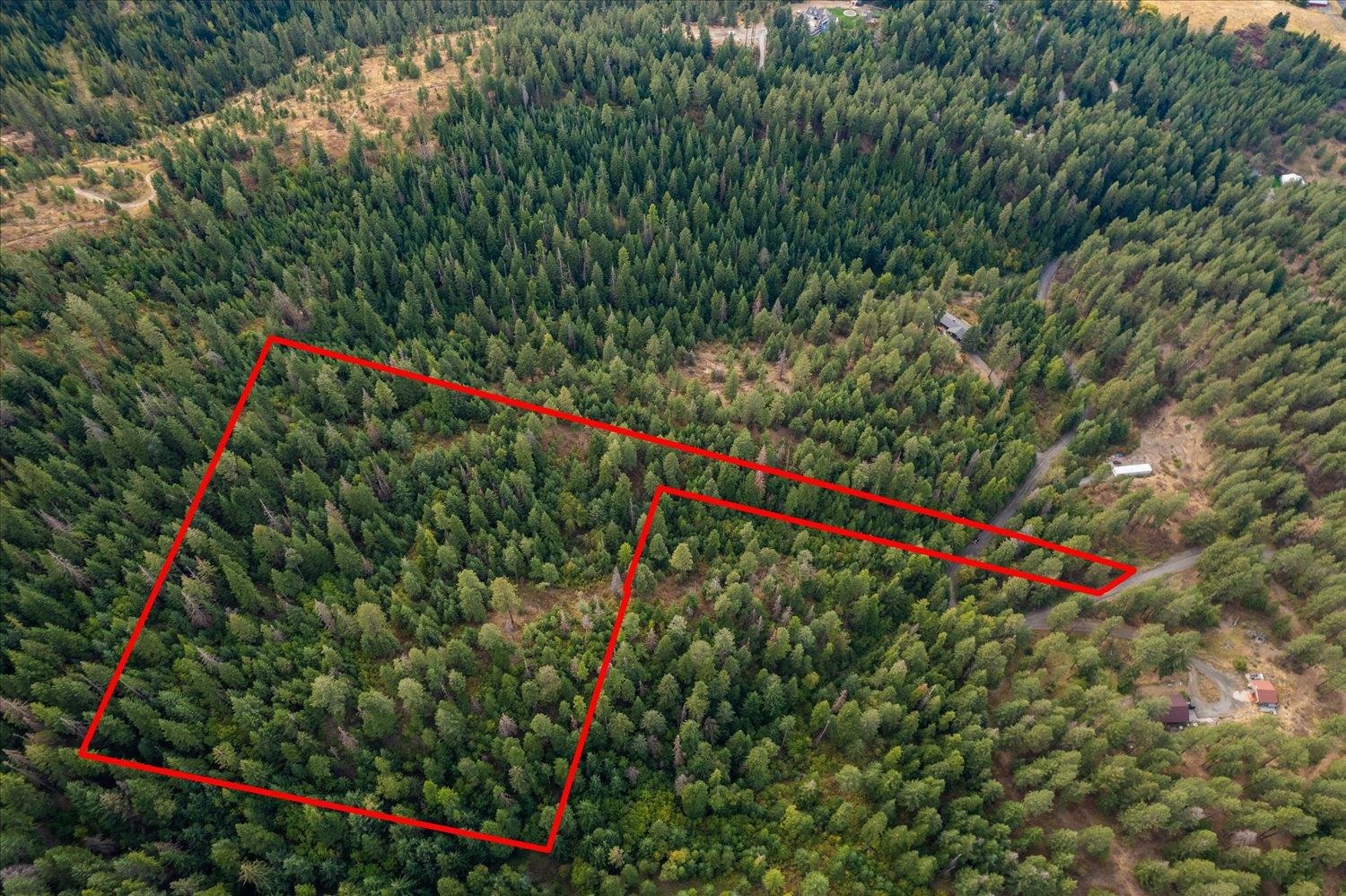 109-xx South Forney Road Mica, WA 99023 - Photo 5 of 20