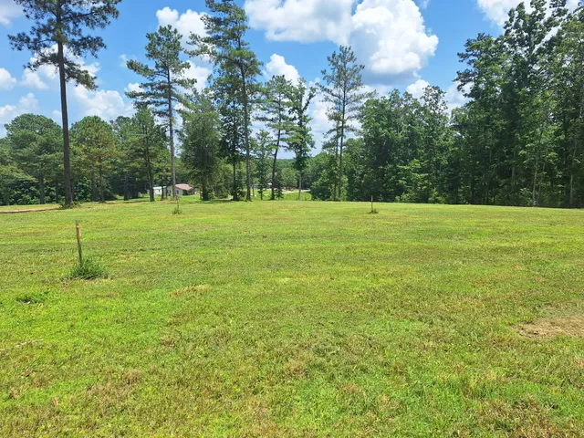 a view of a big yard with a large trees