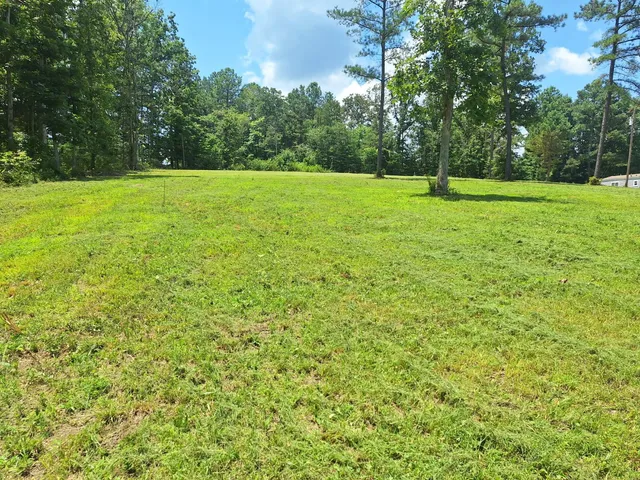a view of field with trees in background