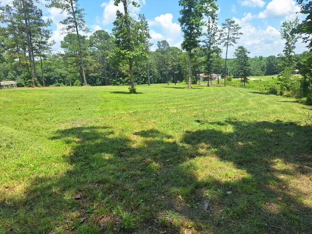 a view of a grassy field with trees in the background