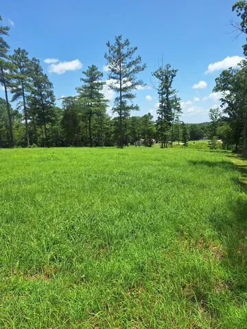 a view of a garden with a building in the background
