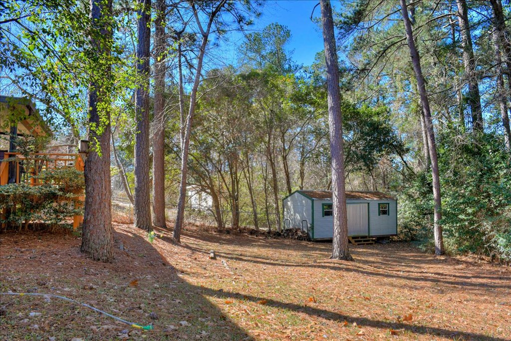 351 Ashley Mill Road Martinez, GA 30907 - Photo 33 of 33