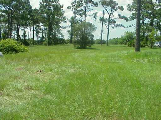 2725 Old Hickory Tree Road St. Cloud, FL 34772 - Photo 1 of 1 Yard/Garden