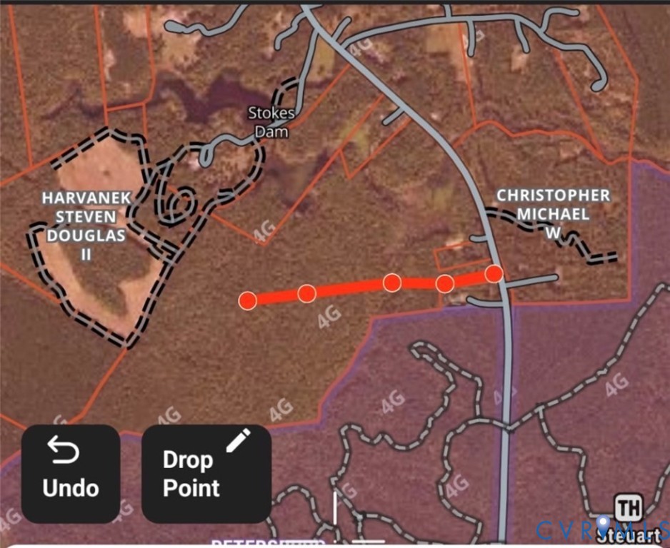8216 Courthouse Road Church Road, VA 23833 - Photo 4 of 4 Proposed access road