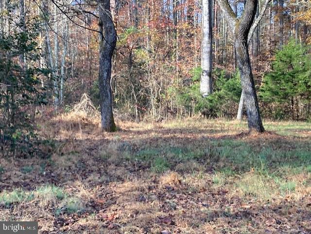 7101 Blanton Road Ruther Glen, VA 22546 - Photo 11 of 20 Gallery Image 11