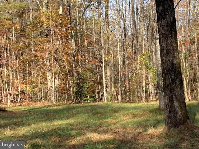 7101 Blanton Road Ruther Glen, VA 22546 - Photo 12 of 20 Gallery Image 12