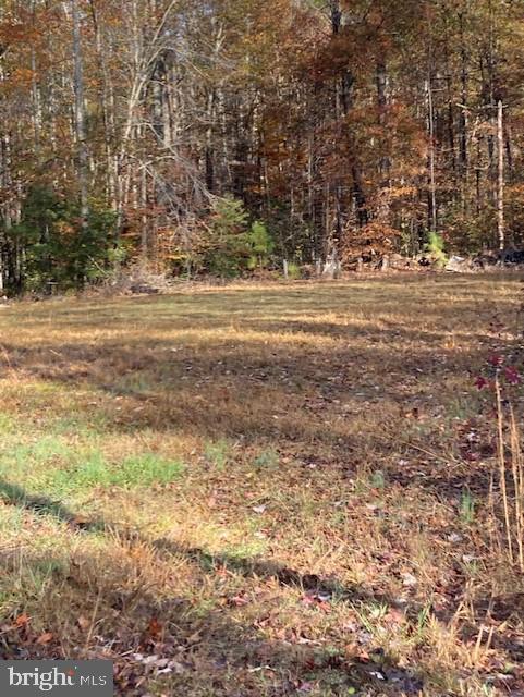7101 Blanton Road Ruther Glen, VA 22546 - Photo 13 of 20 Gallery Image 13