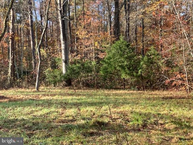 7101 Blanton Road Ruther Glen, VA 22546 - Photo 14 of 20 Gallery Image 14