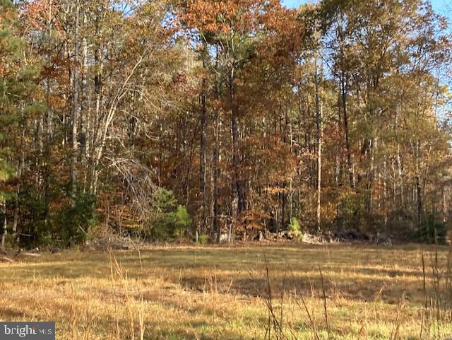 7101 Blanton Road Ruther Glen, VA 22546 - Photo 15 of 20 Gallery Image 15