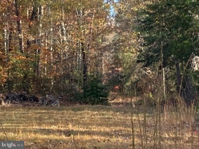 7101 Blanton Road Ruther Glen, VA 22546 - Photo 16 of 20 Gallery Image 16