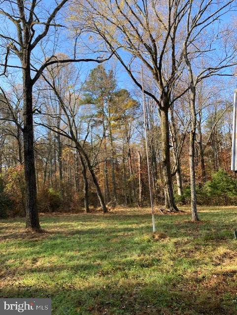 7101 Blanton Road Ruther Glen, VA 22546 - Photo 17 of 20 Gallery Image 17