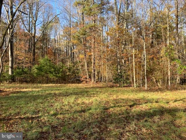7101 Blanton Road Ruther Glen, VA 22546 - Photo 18 of 20 Gallery Image 18