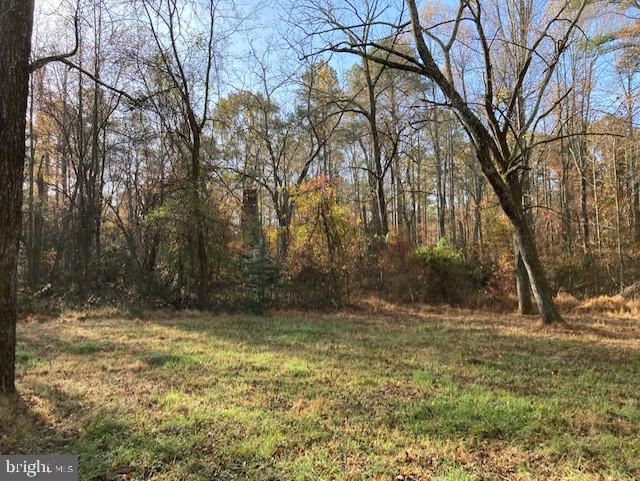 7101 Blanton Road Ruther Glen, VA 22546 - Photo 19 of 20 Gallery Image 19