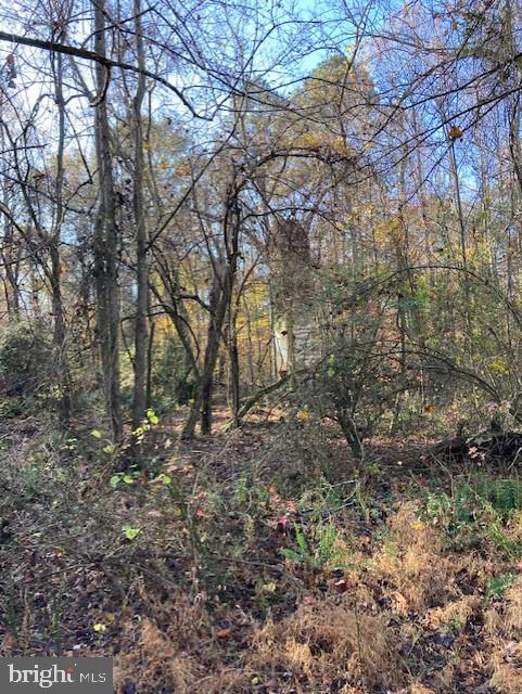 7101 Blanton Road Ruther Glen, VA 22546 - Photo 20 of 20 Gallery Image 20