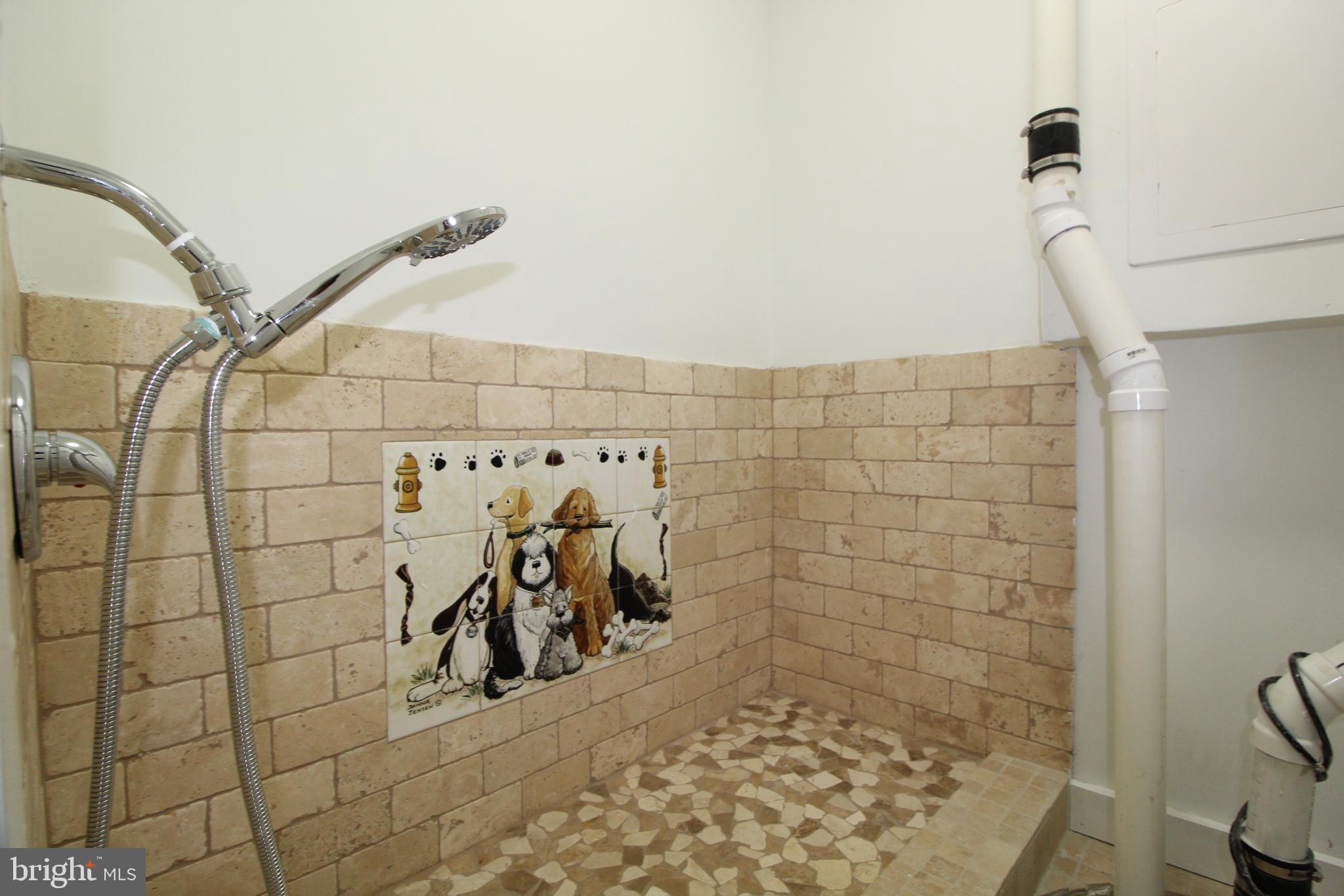 3519 Keswick Road Baltimore, MD 21211 - Photo 13 of 47 DOG WASH
