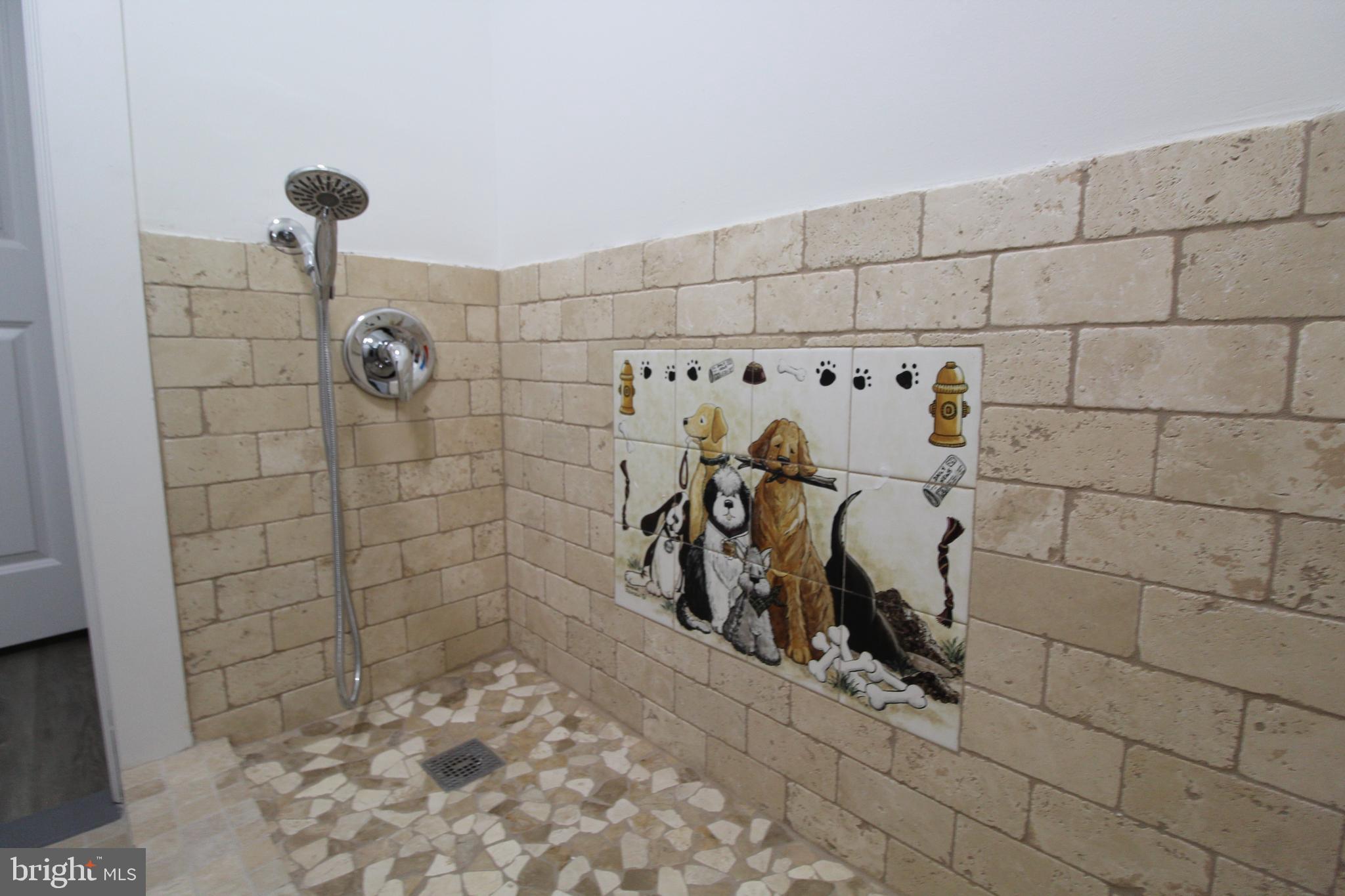 3519 Keswick Road Baltimore, MD 21211 - Photo 14 of 47 DOG WASH