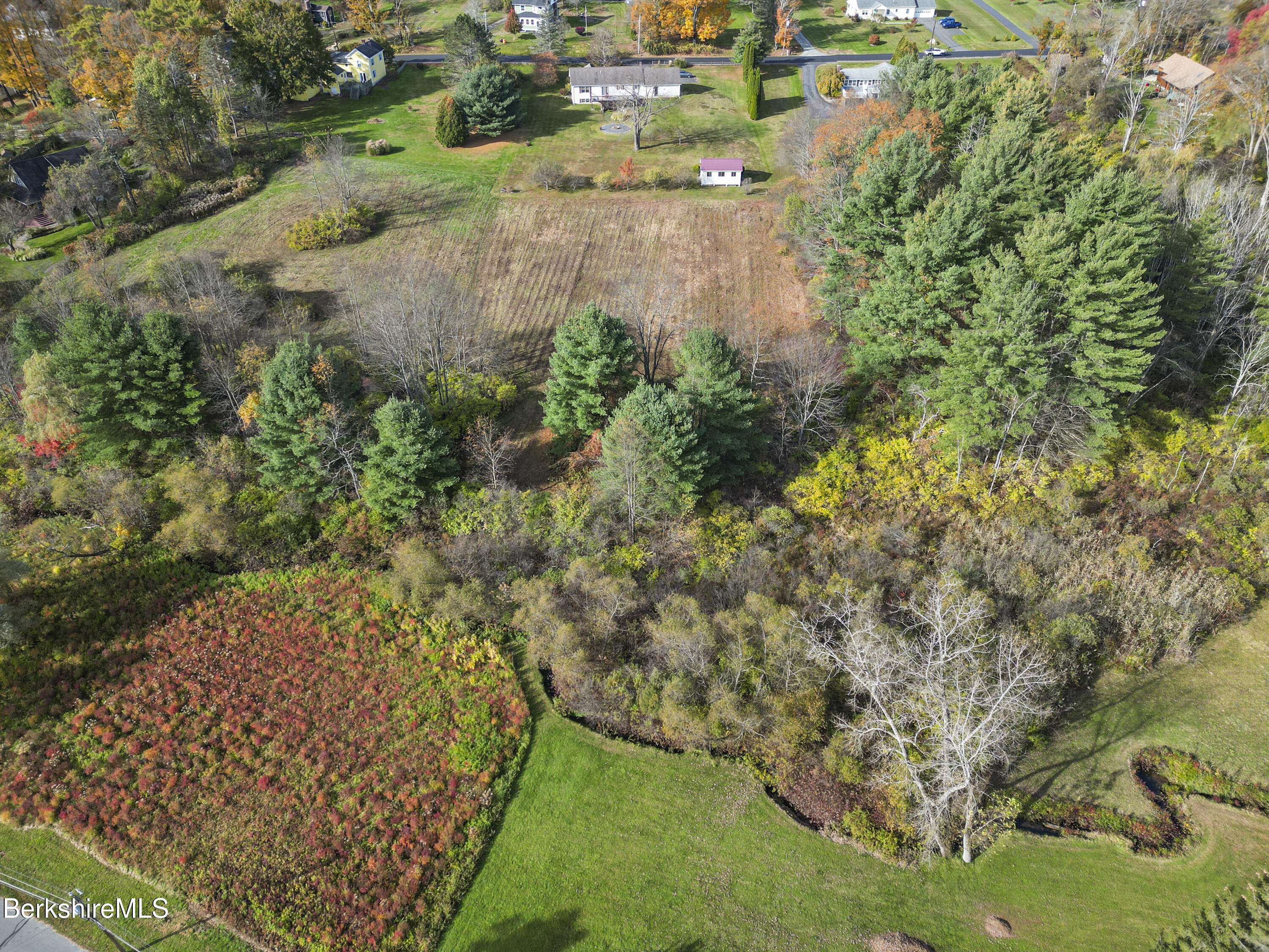 0 Church Street Lee, MA 01238 - Photo 14 of 16 a view of a yard with plants and large trees