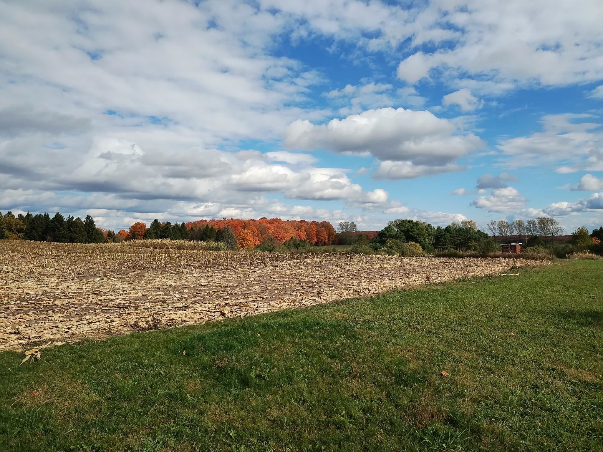 3700 Red School Road Kingsley, MI 49649 - Photo 50 of 64 Gallery Image 50