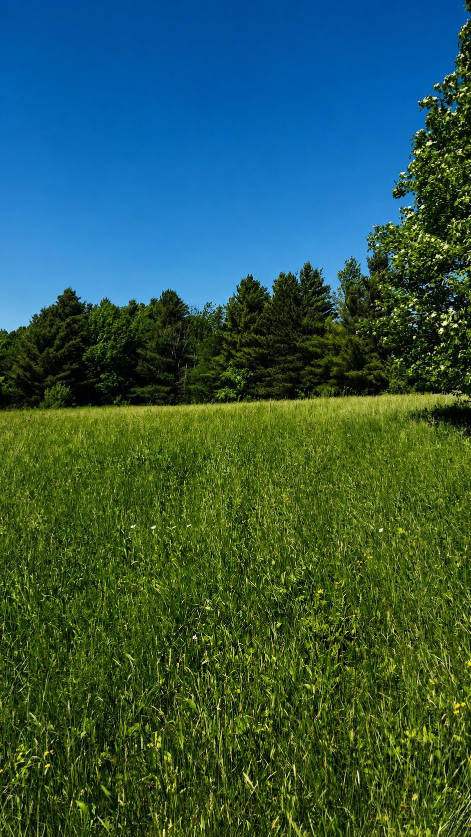 237 Loop Road Jay, VT 05859 - Photo 9 of 34
