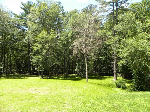 69 Gale Road Charlton, MA 01507 - Photo 27 of 30 a view of back yard